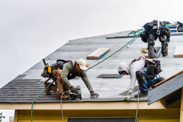 Professional Roofing technician working in Raynham, MA